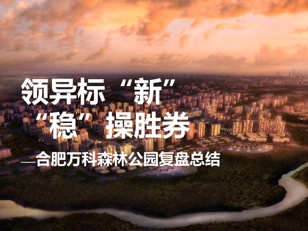 万科森林公园复盘报告终稿