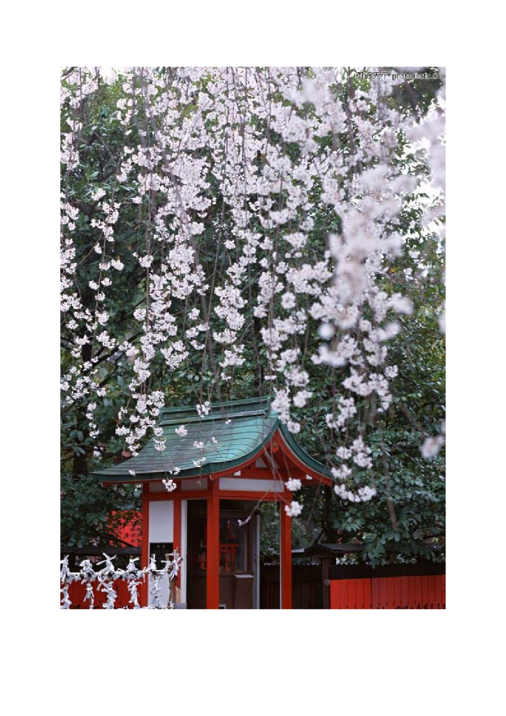 《家纺艺术设计》教学案例-教学案例之凡一展示设计_第6页