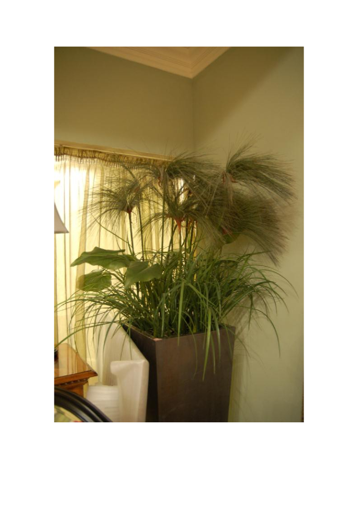 《家纺艺术设计》媒体素材-家纺陈列饰品搭配一览_第10页