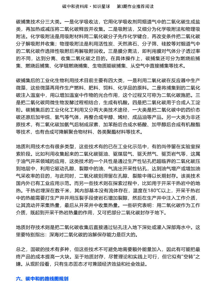 丁仲礼：深入理解碳中和的基本逻辑和技术需求_第10页