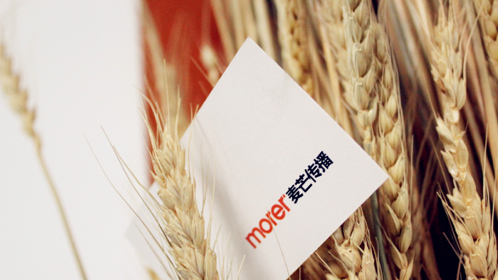 麦芒传播-中国铁建万科·翡翠国际2017年度推广