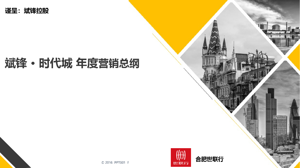 合肥世联行-斌锋 ∙ 时代城 年度营销总纲