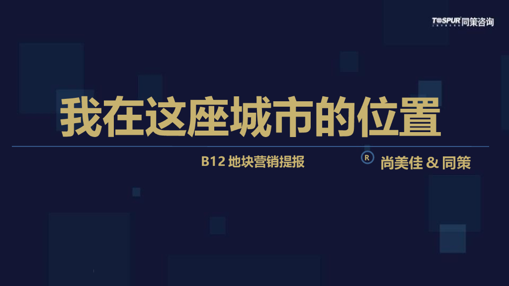 同策-江西南昌和昌B12地块莱蒙都会营销提报