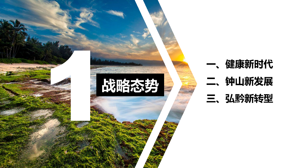 钟山区健康养生小镇项目_第3页
