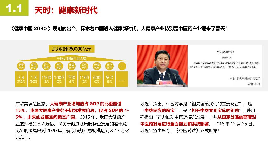 钟山区健康养生小镇项目_第4页