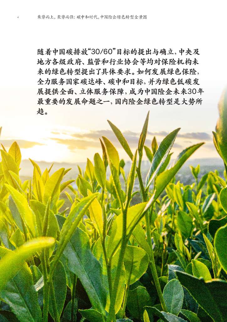 麦肯锡：乘势而上，聚势而强：碳中和时代，中国险企绿色转型全景图_第6页