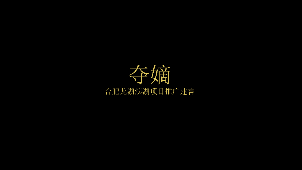 2019优点广告-九子夺嫡-合肥龙湖天权项目推广案