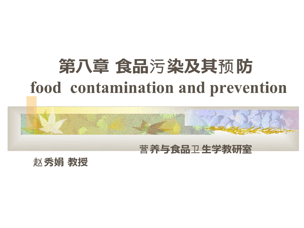 《营养与食品卫生》演示文稿-食品的微生物污染及其预防1