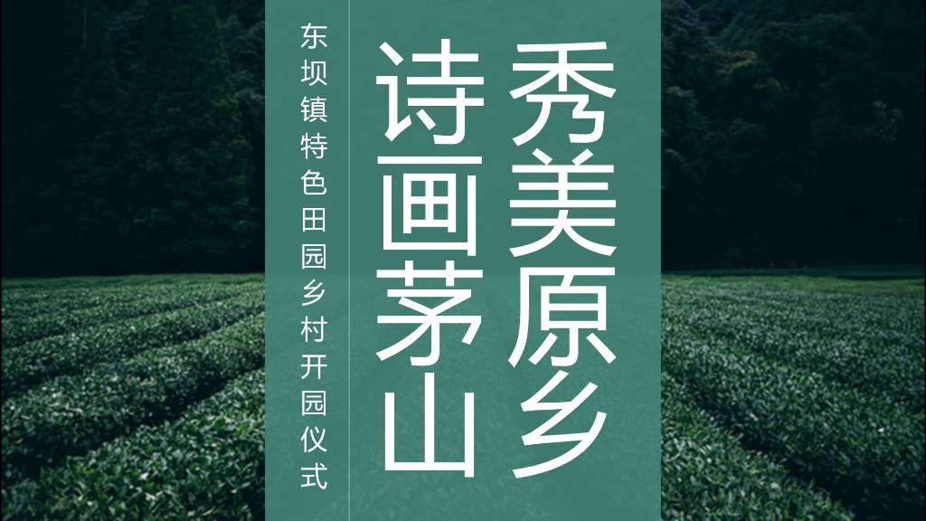 2019东坝镇特色田园乡村开园策划
