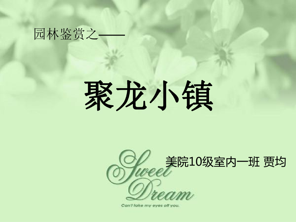 园林园林鉴赏-聚龙小镇