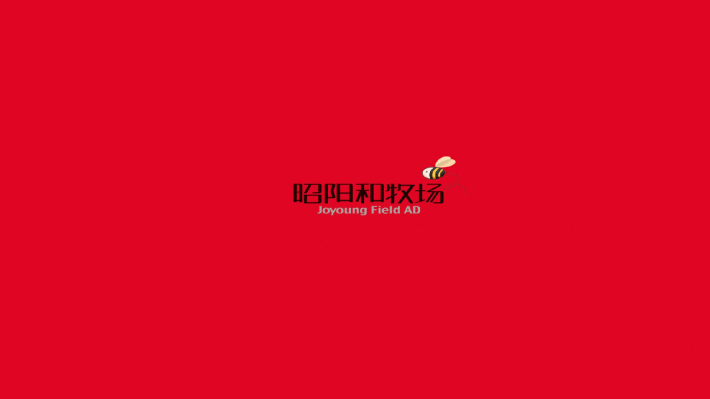 2019广州昭阳-铁荔城项目年度策略提报