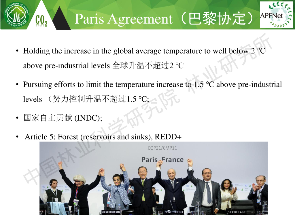 白彦锋：碳中和背景下森林碳汇基本知识_第9页