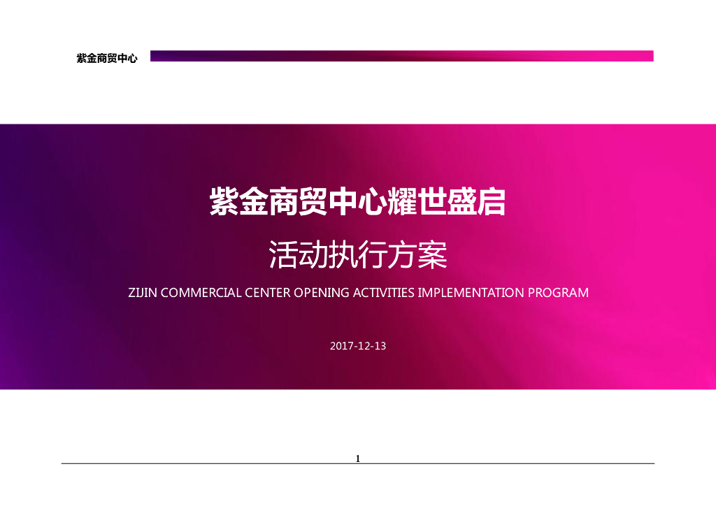 2017紫金商贸中心开盘执行案