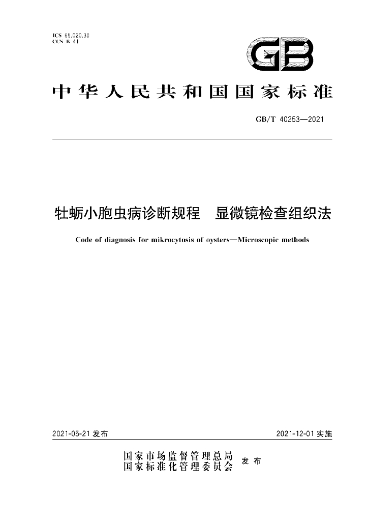 GB/T 40253-2021 标准预览