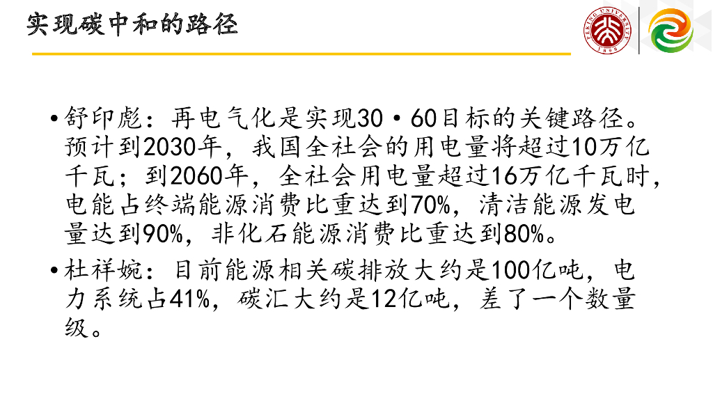 北京大学：碳中和定义能源新赛道_第9页
