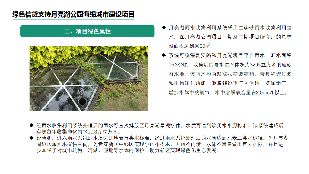 蓝虹绿色金融支持“碳中和”的案例分析_第10页