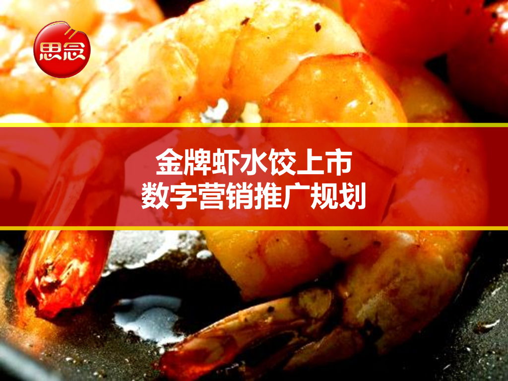 思念金牌夏水饺上市数字营销推广规则_第1页