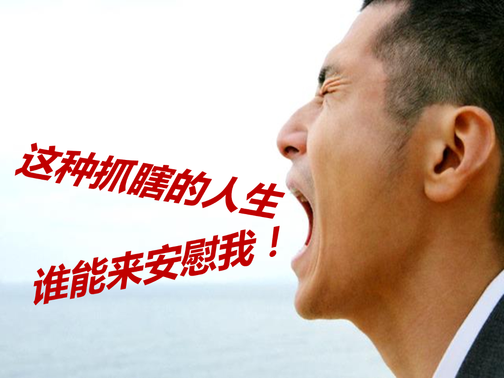 思念金牌夏水饺上市数字营销推广规则_第9页