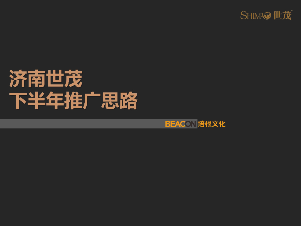 培根广告--世茂国际广场下半年推广方案