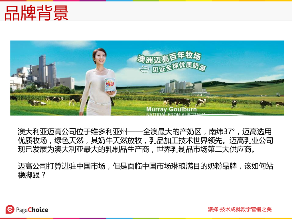 迈高奶粉数字营销解决方案_第3页