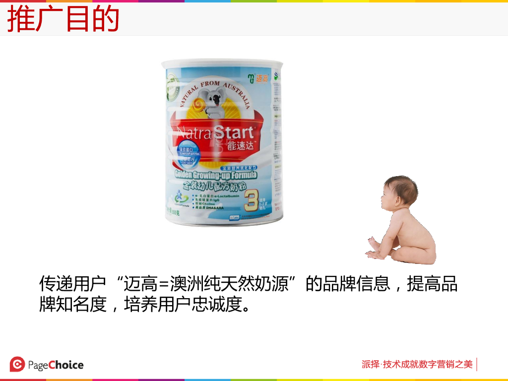 迈高奶粉数字营销解决方案_第4页