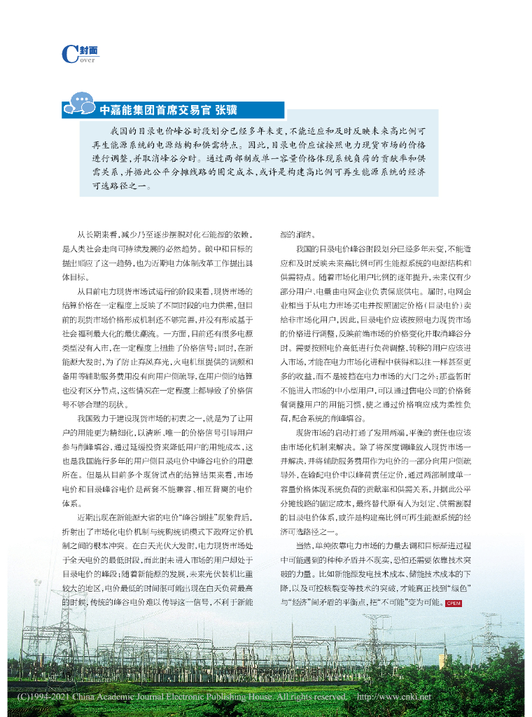 碳中和的经济实现路径_第9页