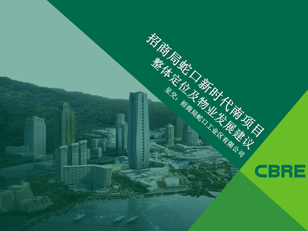 新时代南项目整体定位报告及物业发展建议合稿