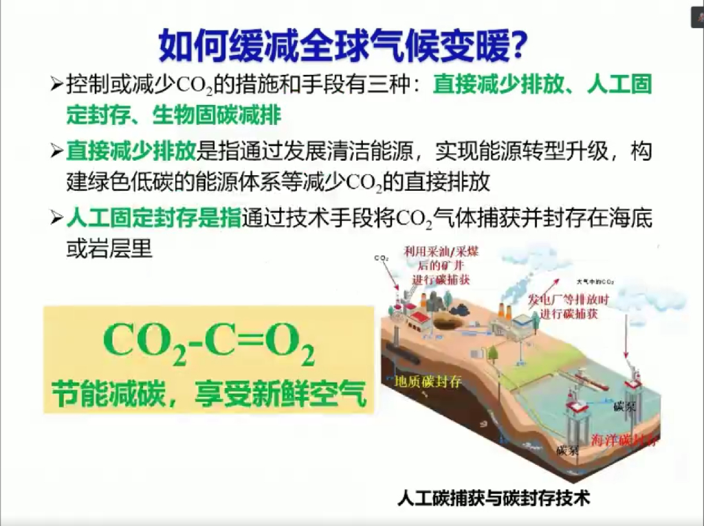 浙江林业大学：碳中和-基于林业的解决方案_第6页