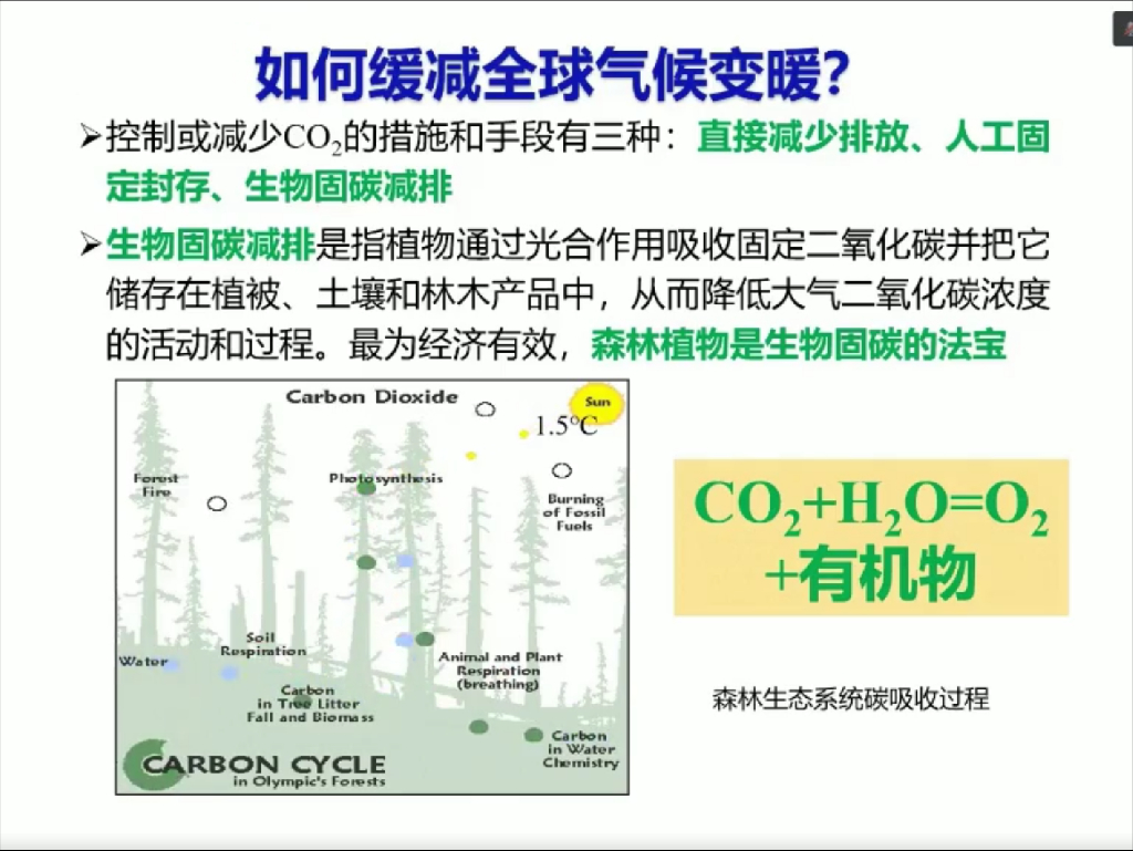 浙江林业大学：碳中和-基于林业的解决方案_第7页