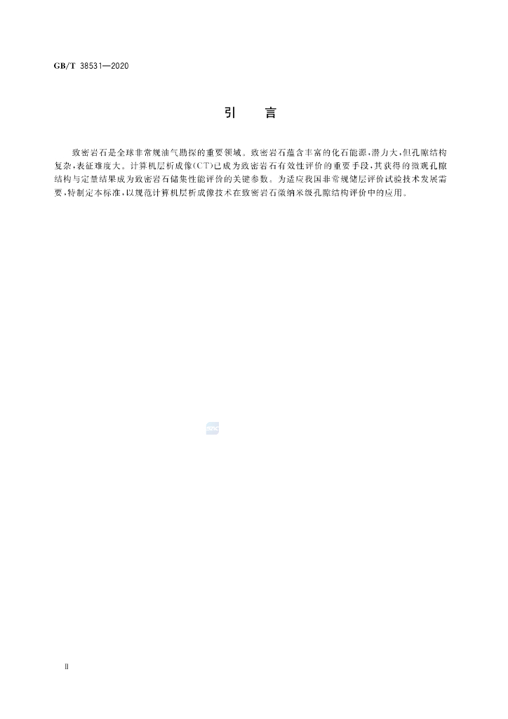GB/T 38531-2020 标准预览