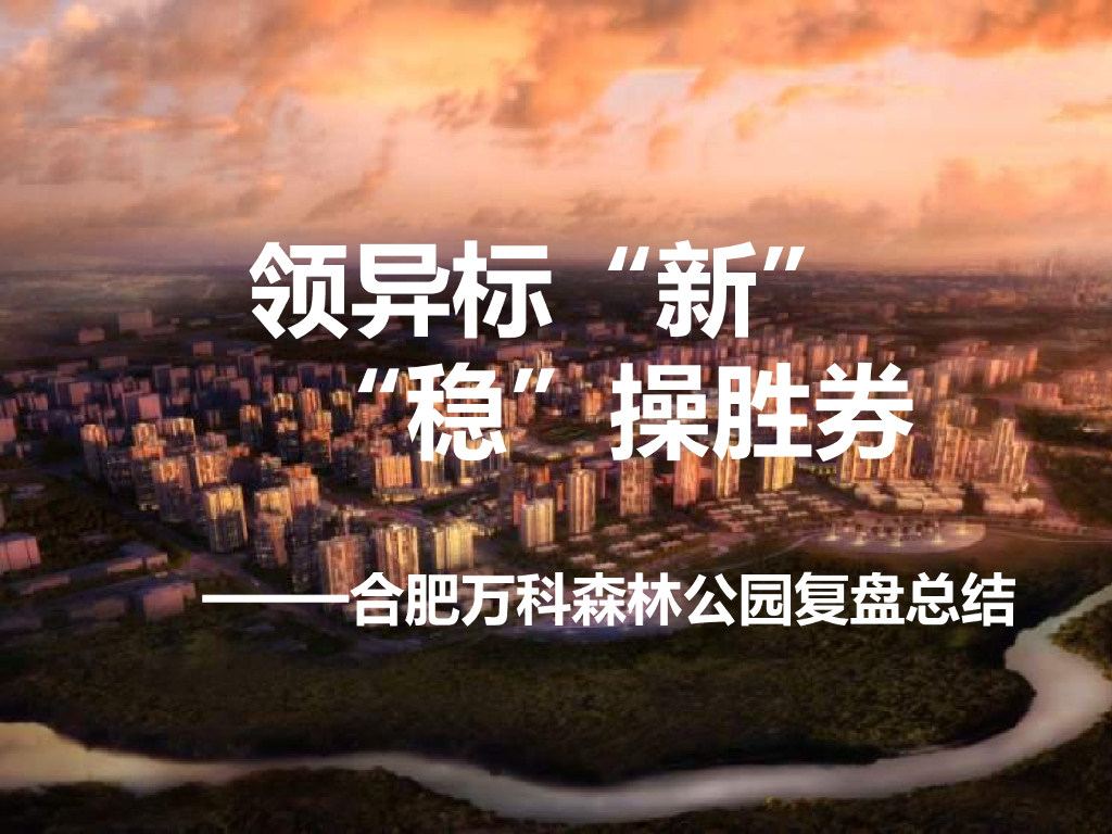 万科森林公园复盘报告终稿