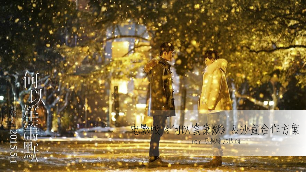 电影《何以笙萧默》-沙宣合作方案