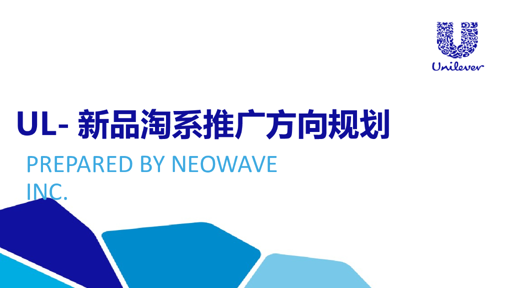 2019联合利华新品淘系推广方向规划