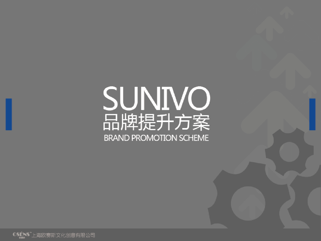 Sunivo品牌战略规划手册