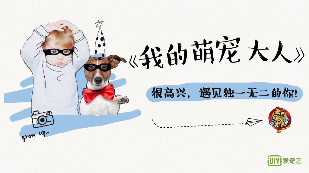 2017爱奇艺综艺《我的萌宠大人》商业招商方案