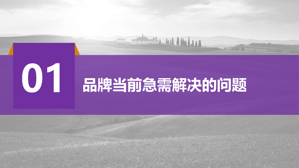 2018恒大农牧品牌年度品牌策划案