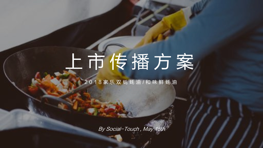 2018家乐双蚝蚝油上市传播规划案