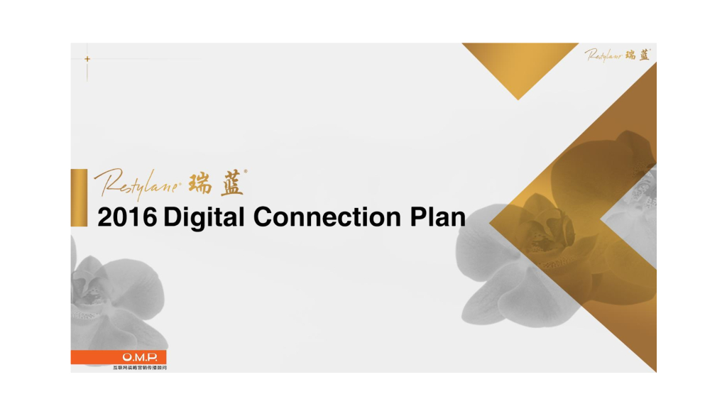 2016瑞蓝数字营销创意部分