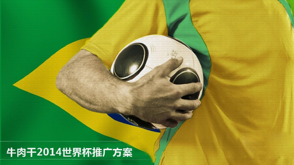 2014牛肉干世界杯营销方案