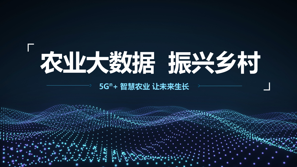 农业大数据振兴乡村