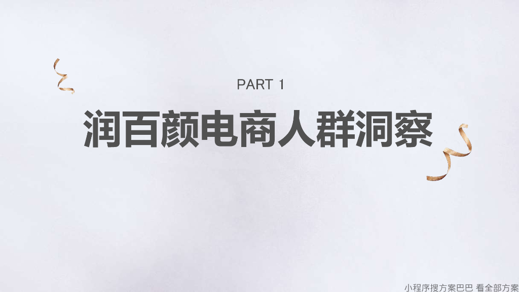 润百颜双十一整合营销方案_第3页