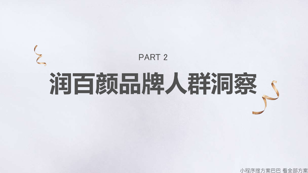 润百颜双十一整合营销方案_第10页