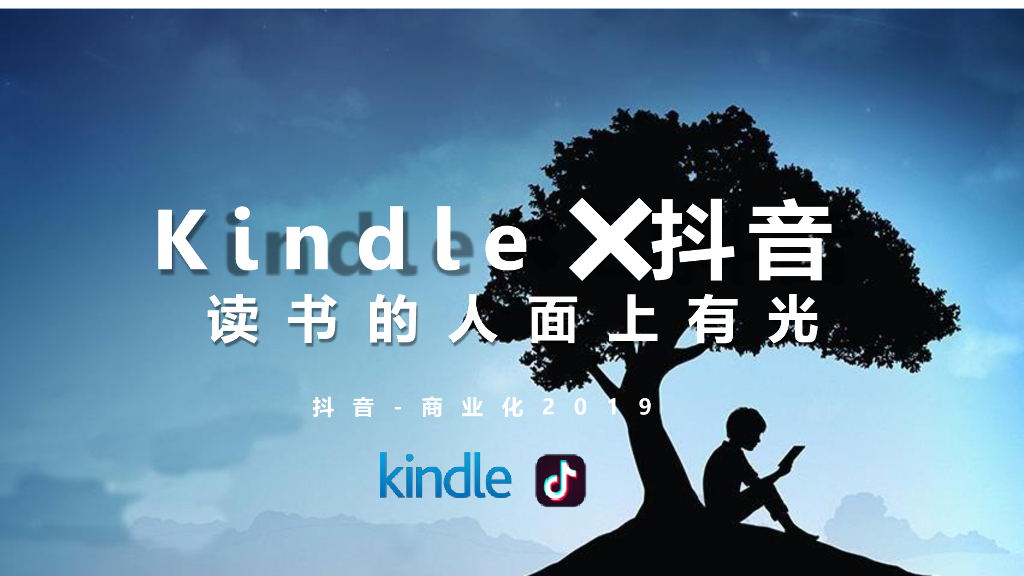 2019Kindlex抖音方案