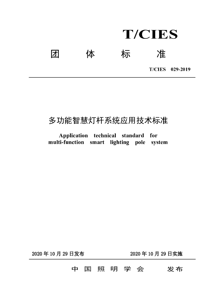 T/CIES 029-2019 标准预览