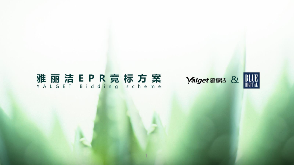 2015雅丽洁EPR传播项目创意规划方案-蓝色光标