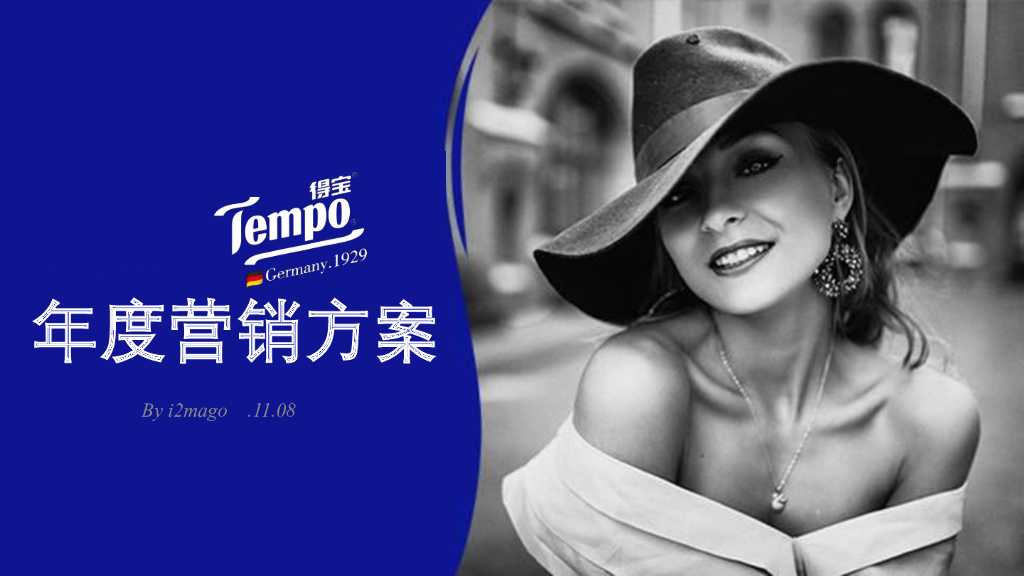 Tempo得宝年度营销方案