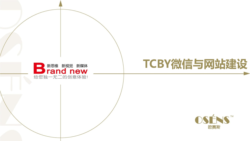 TCBY冰激凌连锁品牌微信运营与网站建设策划方案-欧赛斯