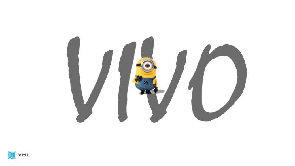 2017年Vivo-小黄人合作传播方案-VML