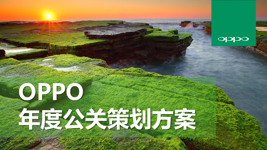 OPPO年度公关传播方案-博雅公关