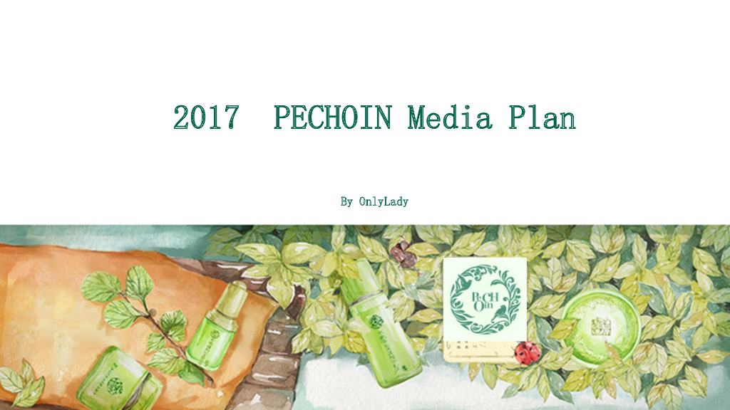 2017百雀羚media plan-Onlylady